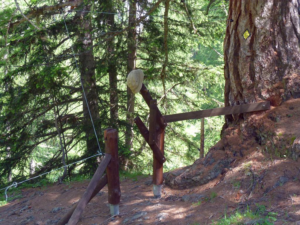 Clic pour l'image suivante