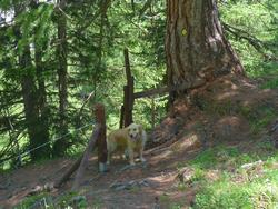 Clic pour agrandir l'image (1024x768 pixels; 208 KB)