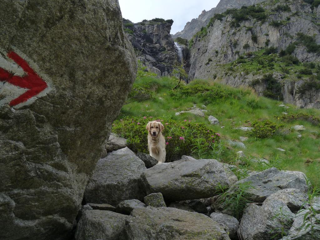 Clic pour l'image suivante