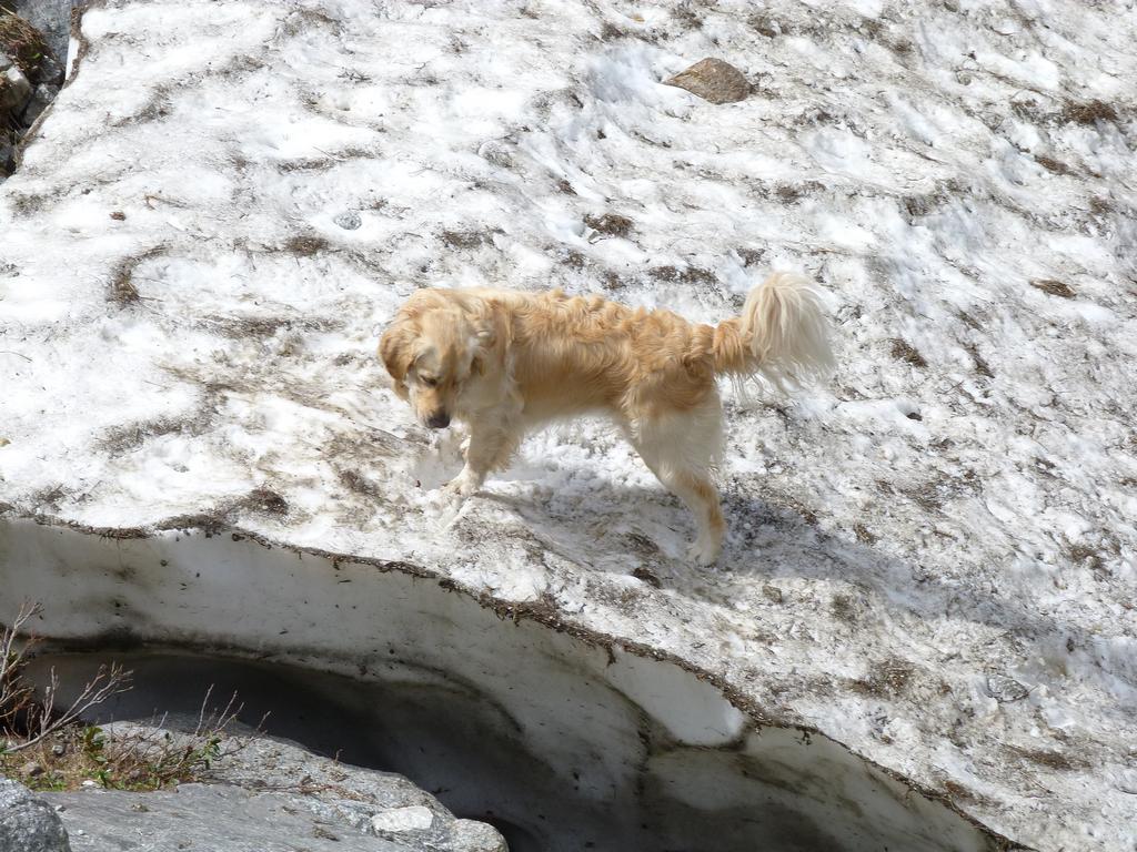 Clic pour l'image suivante