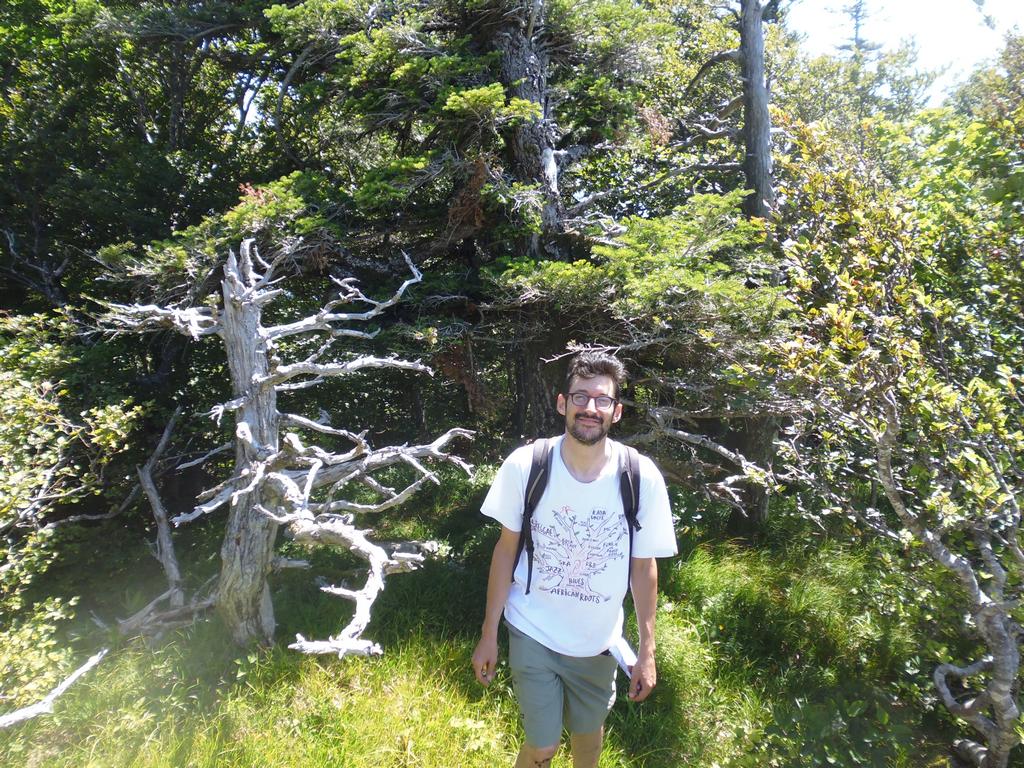 Clic pour l'image suivante