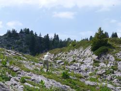 Clic pour agrandir l'image (1024x768 pixels; 153 KB)