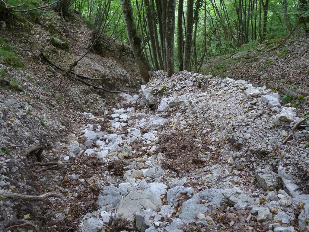 Clic pour l'image suivante