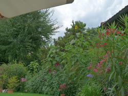 Clic pour agrandir l'image (1024x768 pixels; 156 KB)