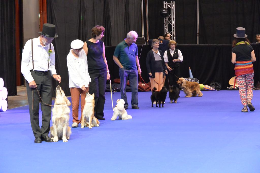 Clic pour l'image suivante