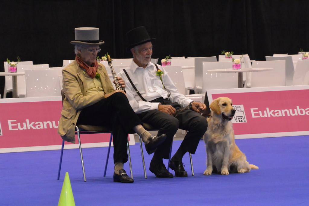 Clic pour l'image suivante