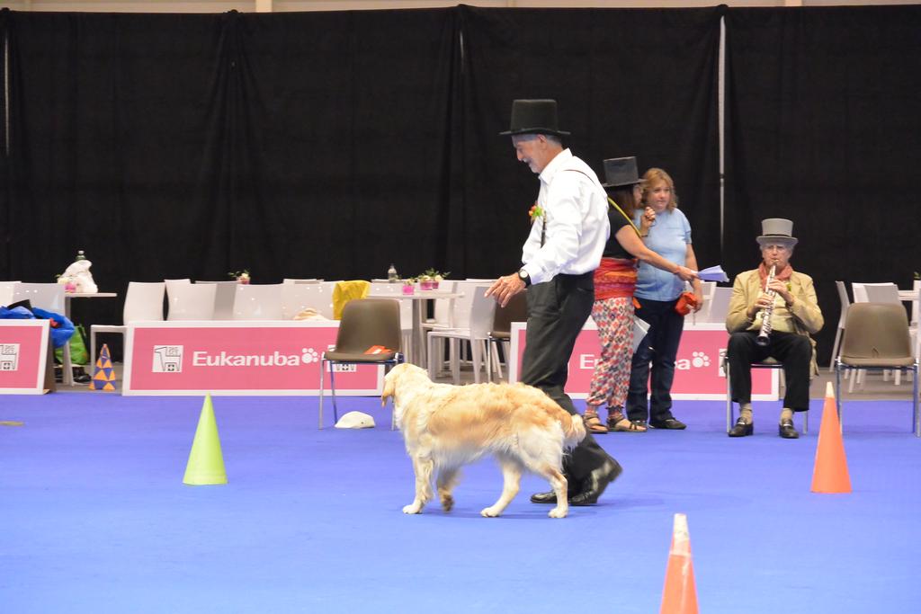 Clic pour l'image suivante