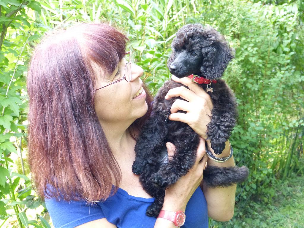 Clic pour l'image suivante