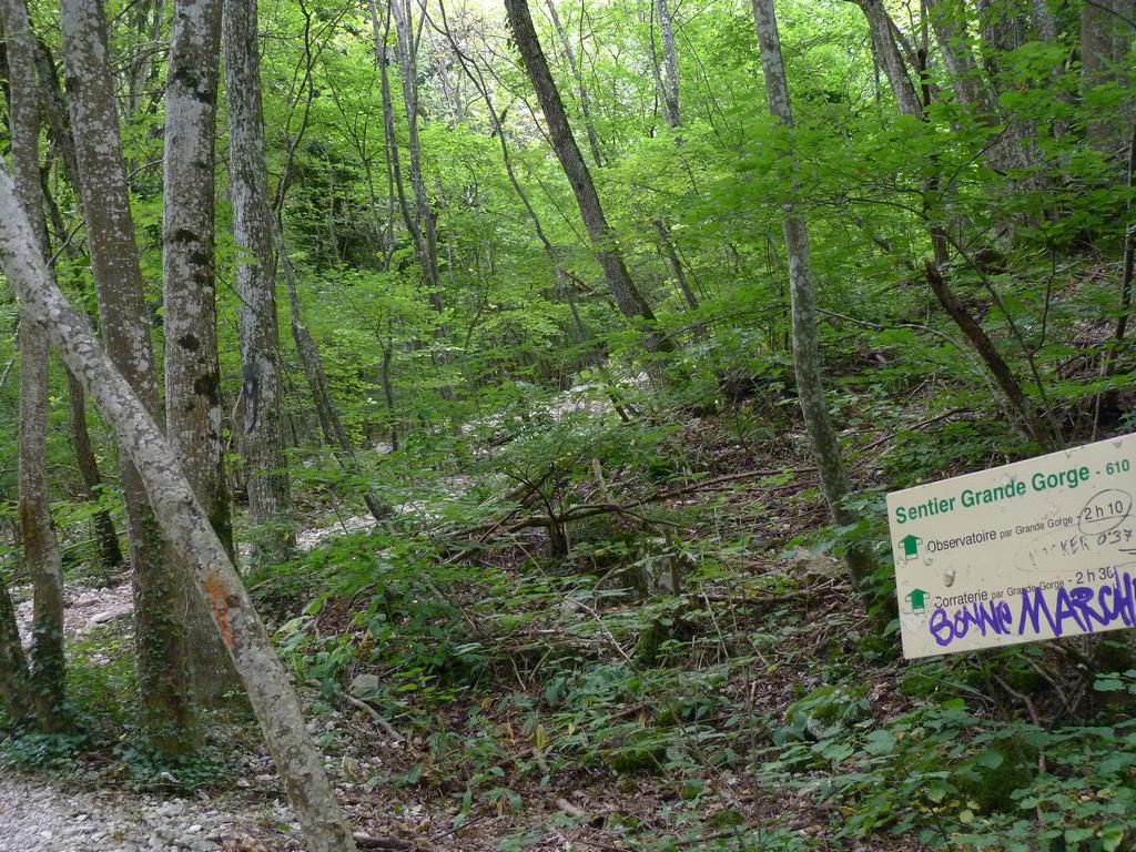 Clic pour l'image suivante