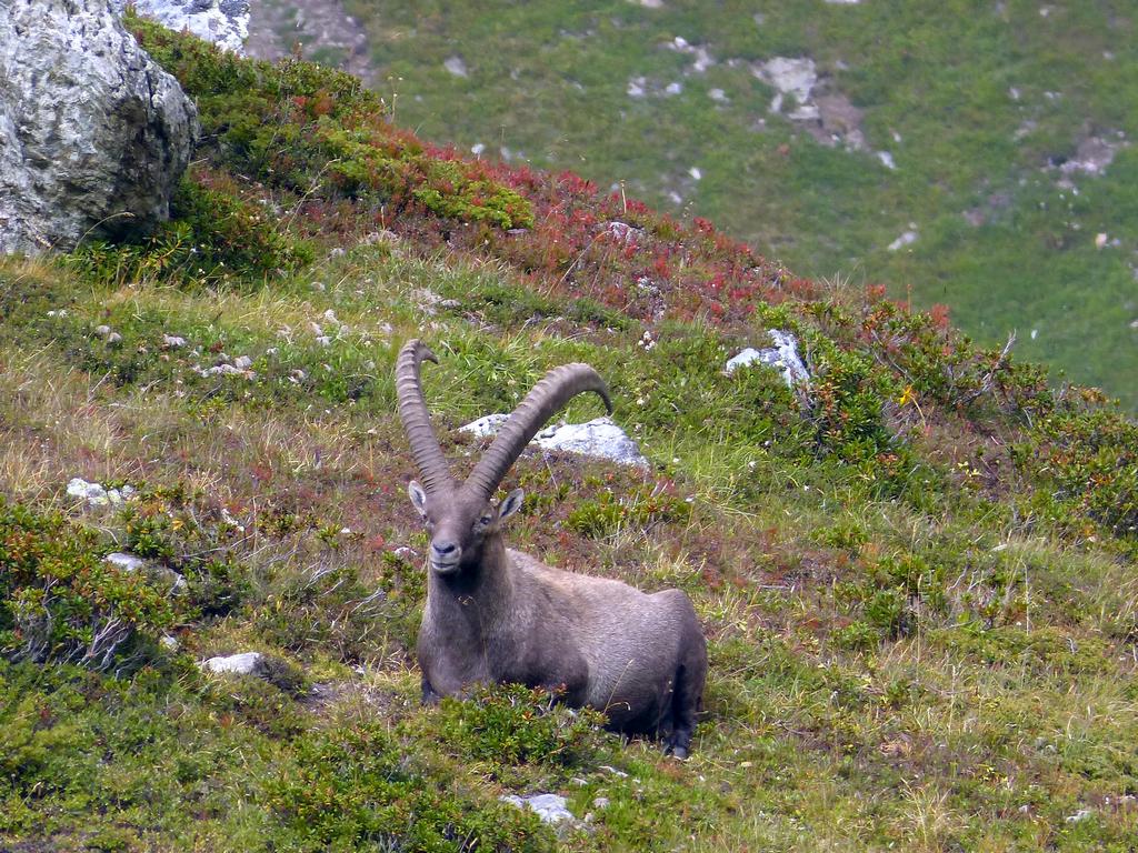 Clic pour l'image suivante