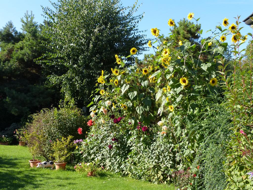 Clic pour l'image suivante