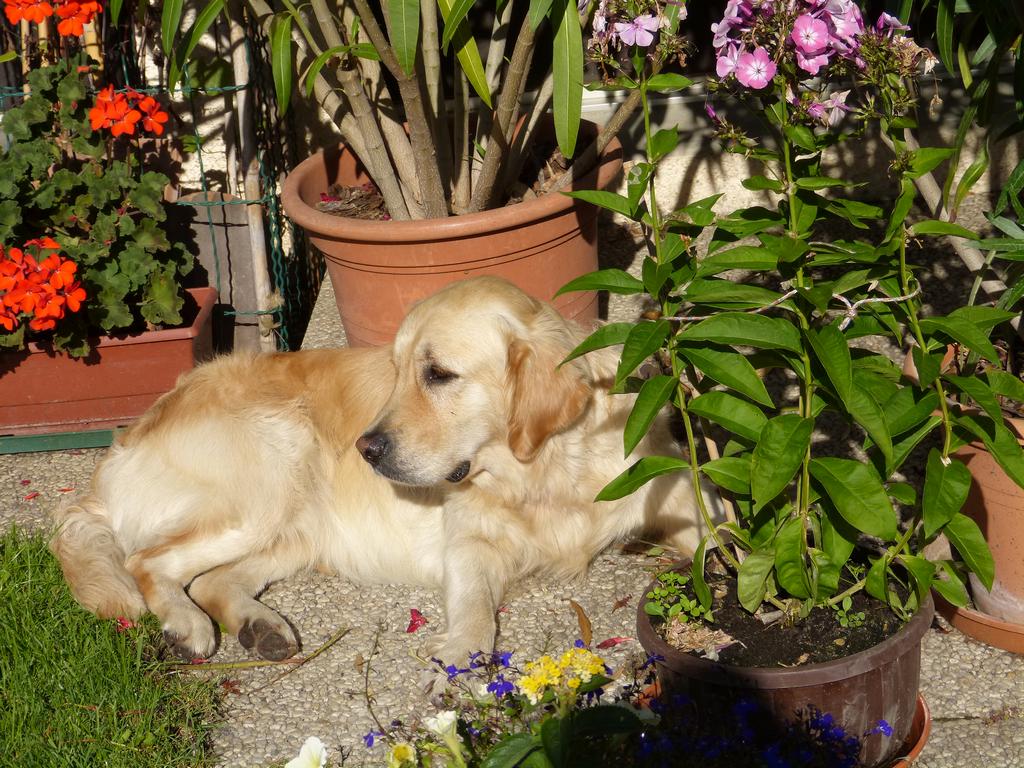 Clic pour l'image suivante