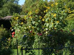 Clic pour agrandir l'image (1024x768 pixels; 271 KB)