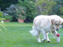 Clic pour agrandir l'image (1024x768 pixels; 81 KB)