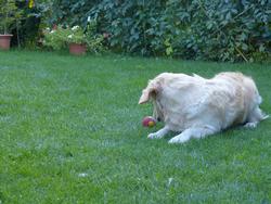 Clic pour agrandir l'image (1024x768 pixels; 165 KB)