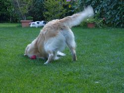 Clic pour agrandir l'image (1024x768 pixels; 152 KB)