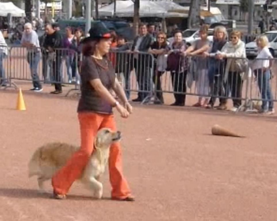 Clic pour l'image suivante