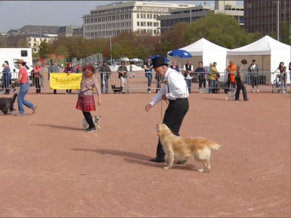 Clic pour l'image suivante