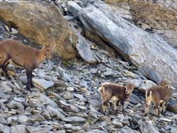 Clic pour agrandir l'image (1024x768 pixels; 171 KB)