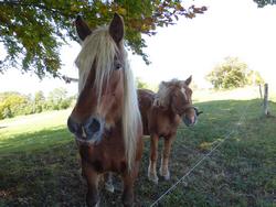 Clic pour agrandir l'image (1024x768 pixels; 154 KB)