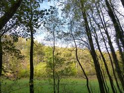 Clic pour agrandir l'image (1024x768 pixels; 286 KB)