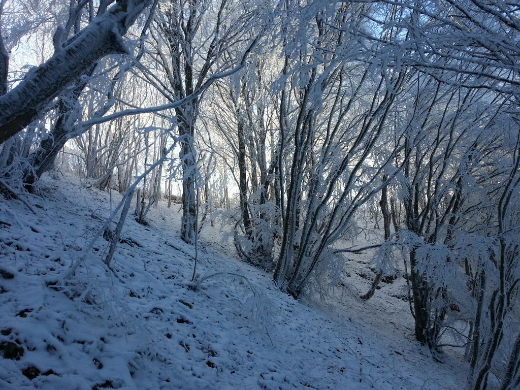 Clic pour l'image suivante