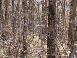 Clic pour agrandir l'image (1024x768 pixels; 275 KB)