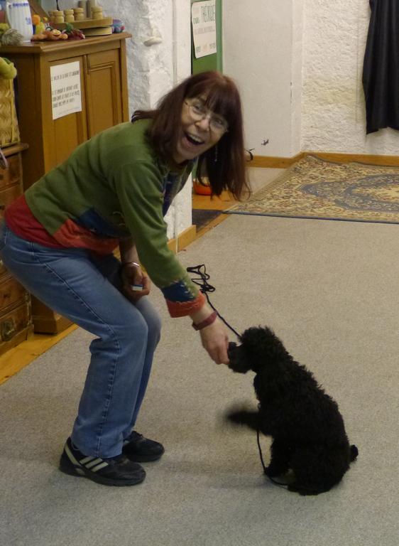 Clic pour l'image suivante