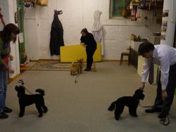 Clic pour agrandir l'image (1024x768 pixels; 91 KB)