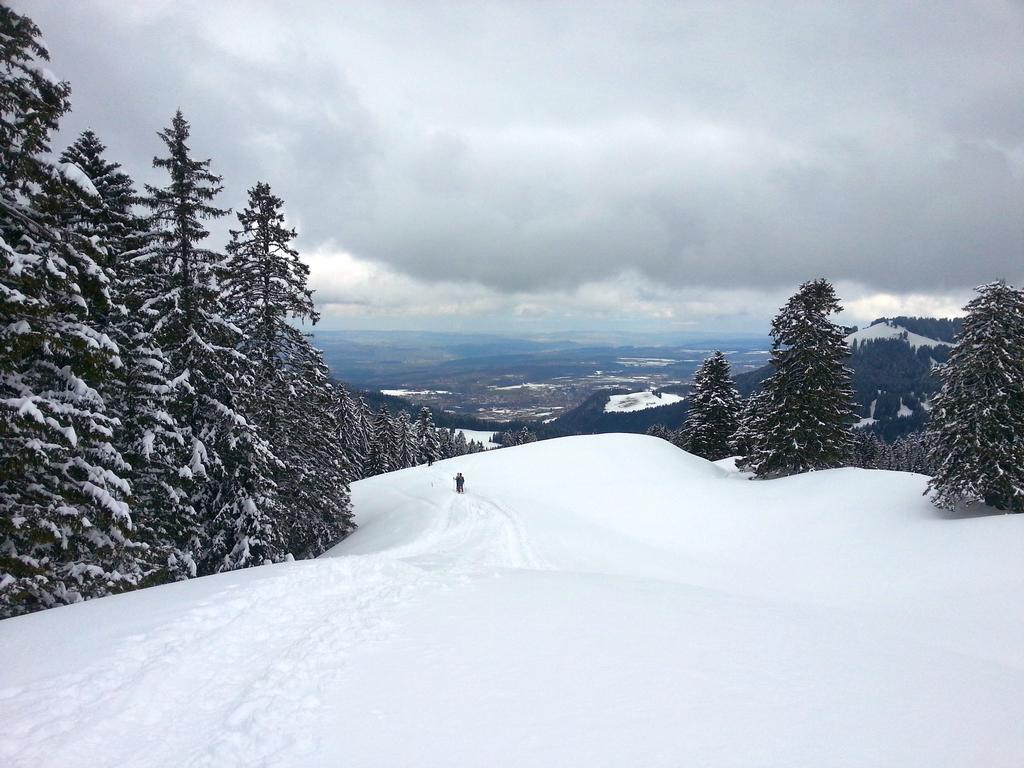 Clic pour l'image suivante