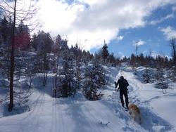 Clic pour agrandir l'image (1024x768 pixels; 134 KB)