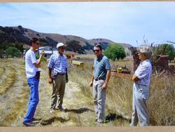 Clic pour agrandir l'image (1024x768 pixels; 131 KB)