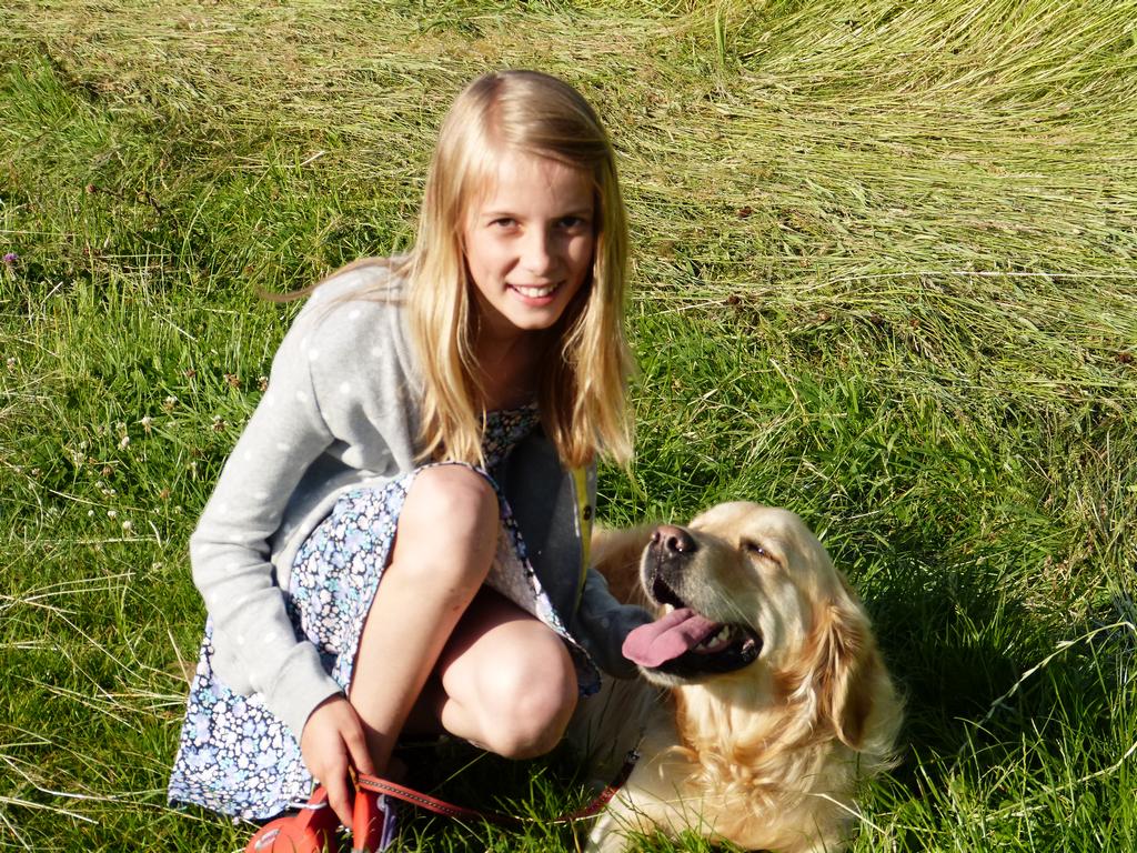 Clic pour l'image suivante