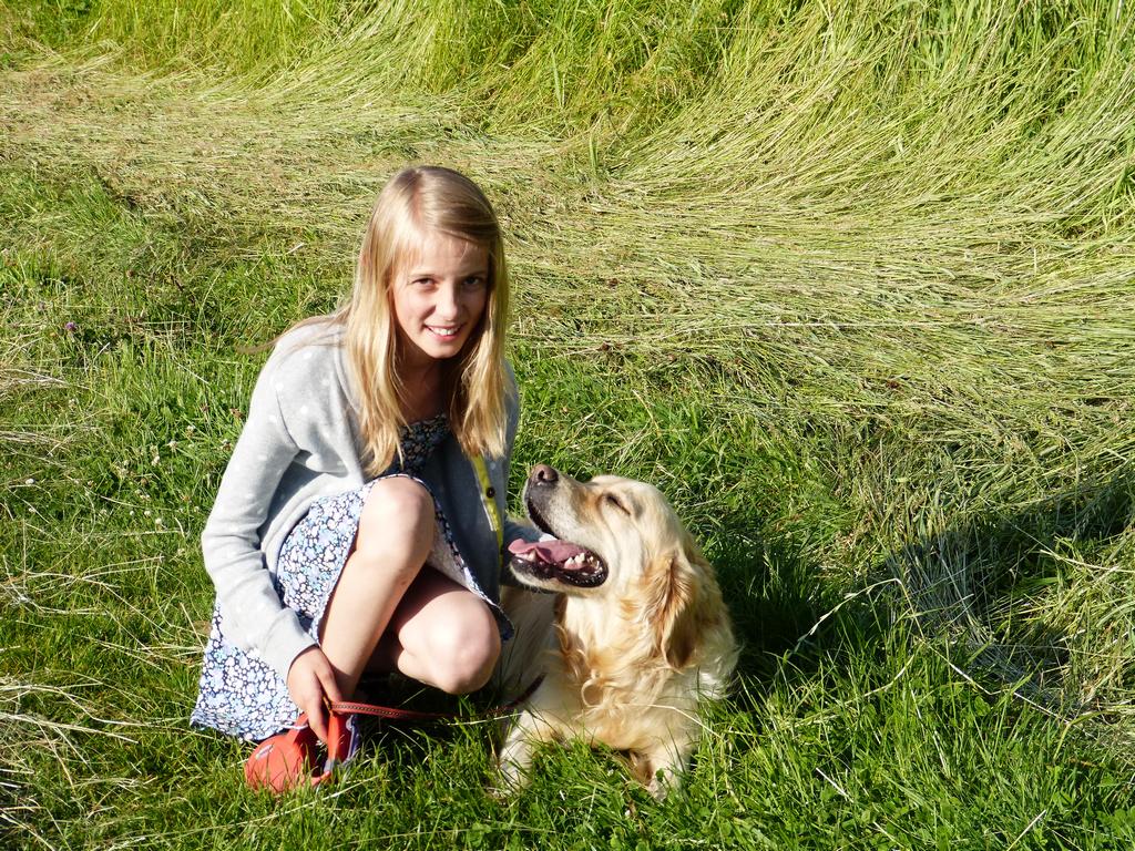 Clic pour l'image suivante