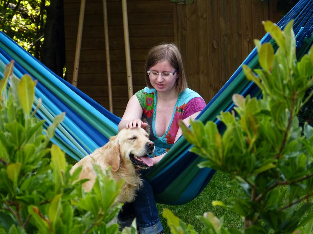 Clic pour l'image suivante