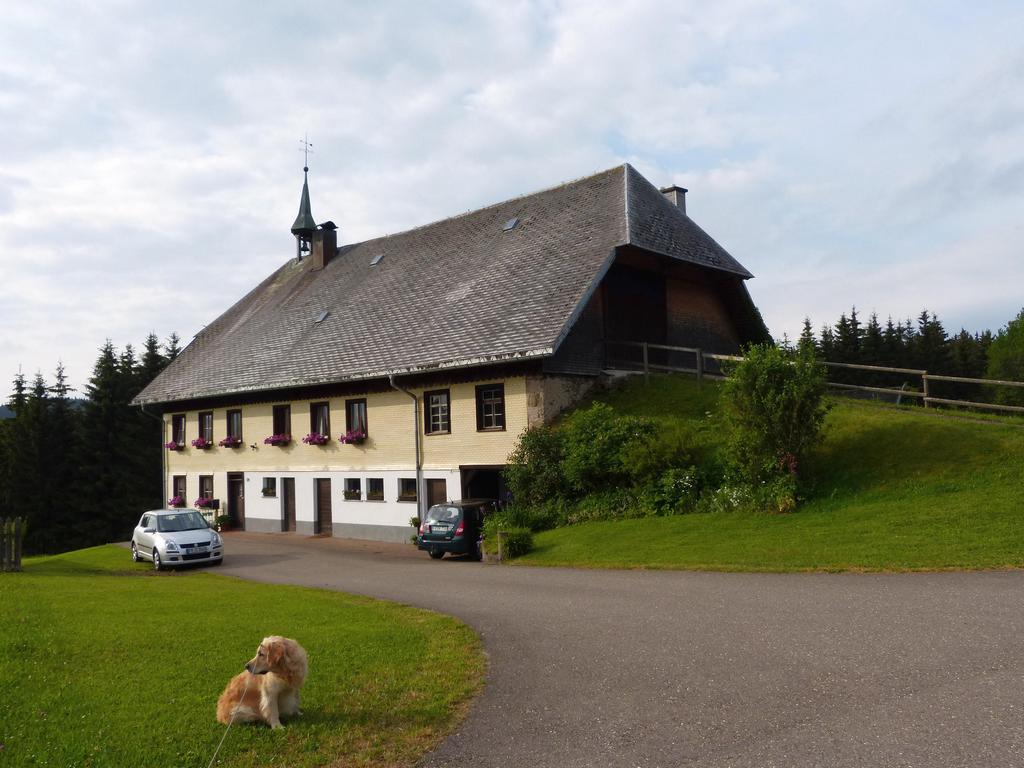 Click to see next picture