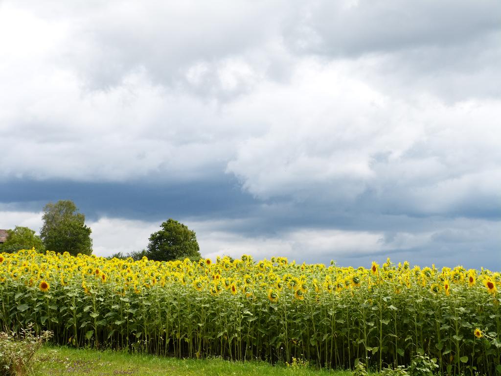 Click to see next picture