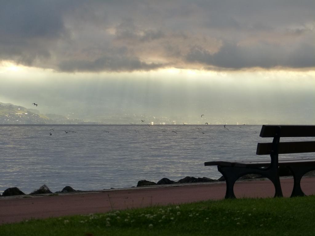 Click to see next picture