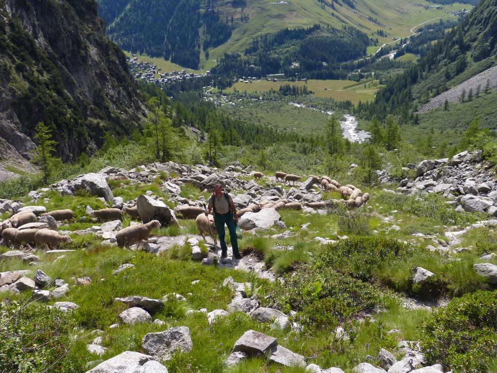 Click to see next picture