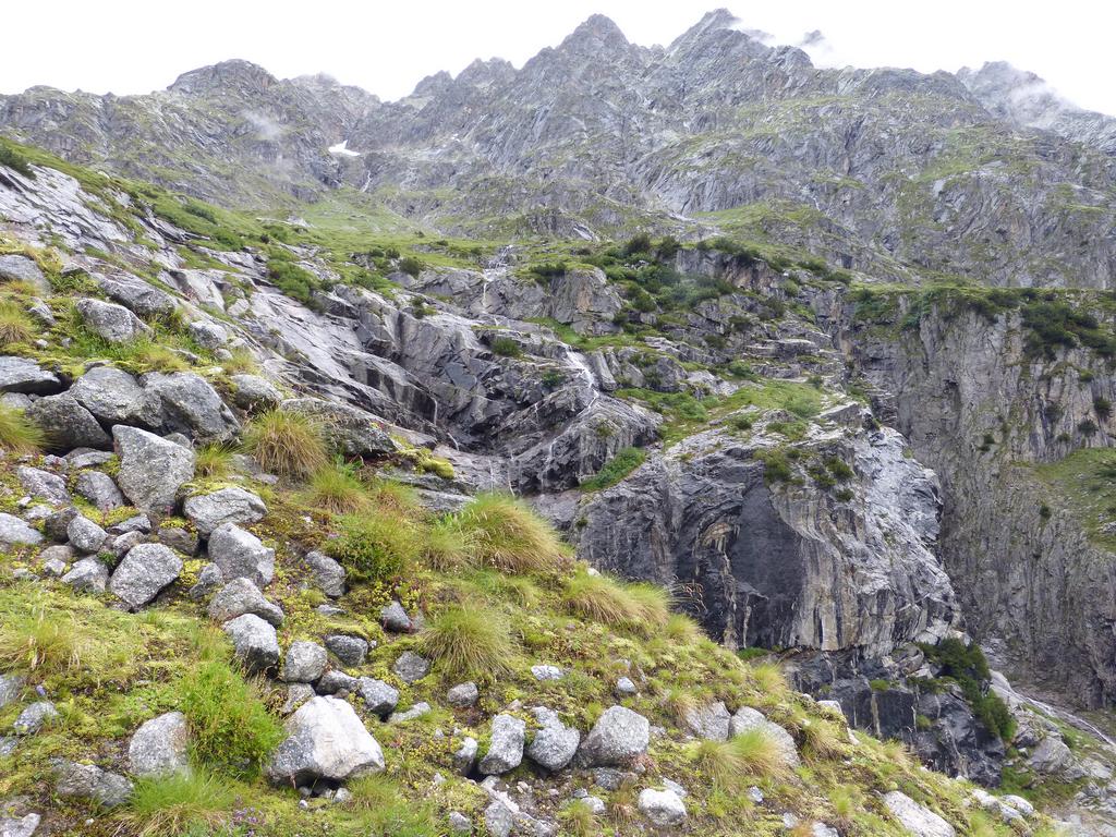 Click to see next picture