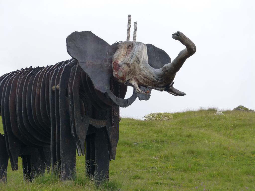 {Clic pour voir plus grand}