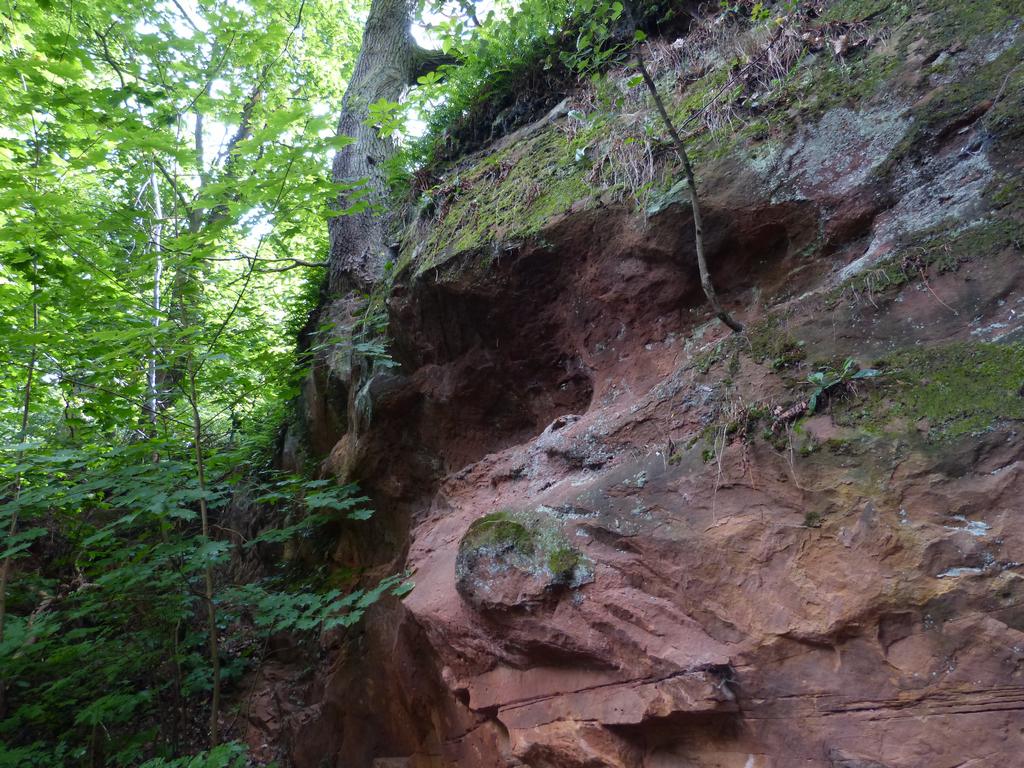 {Clic pour voir plus grand}