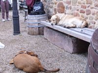 Click to see big picture (1024x768 pixels; 98 KB)