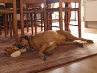 Click to see big picture (1024x768 pixels; 74 KB)