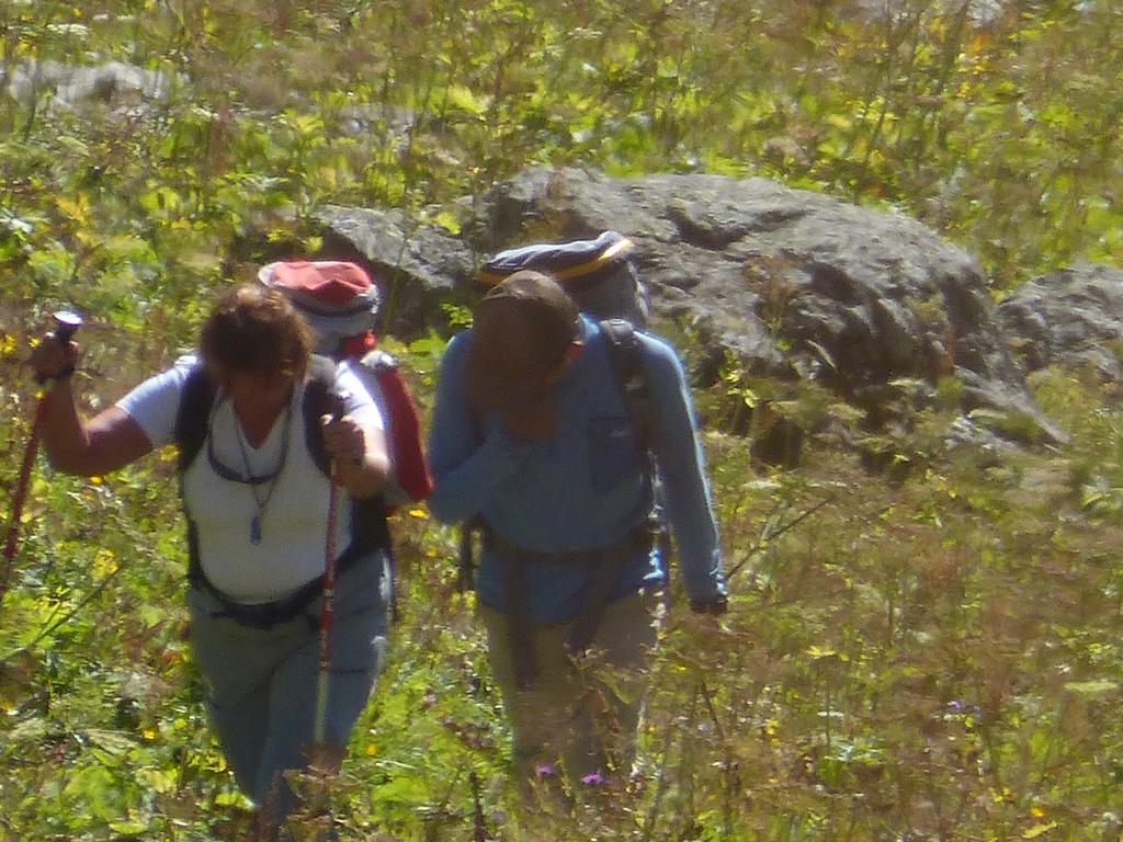 {Clic pour voir plus grand}