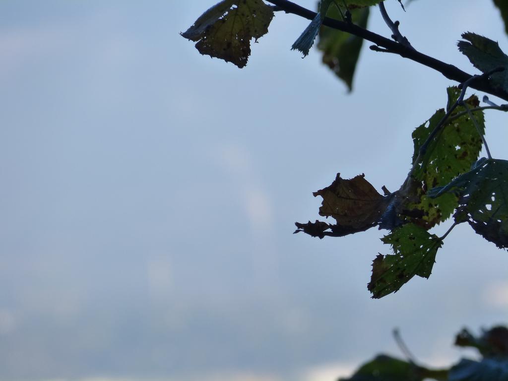 {Clic pour voir plus grand}