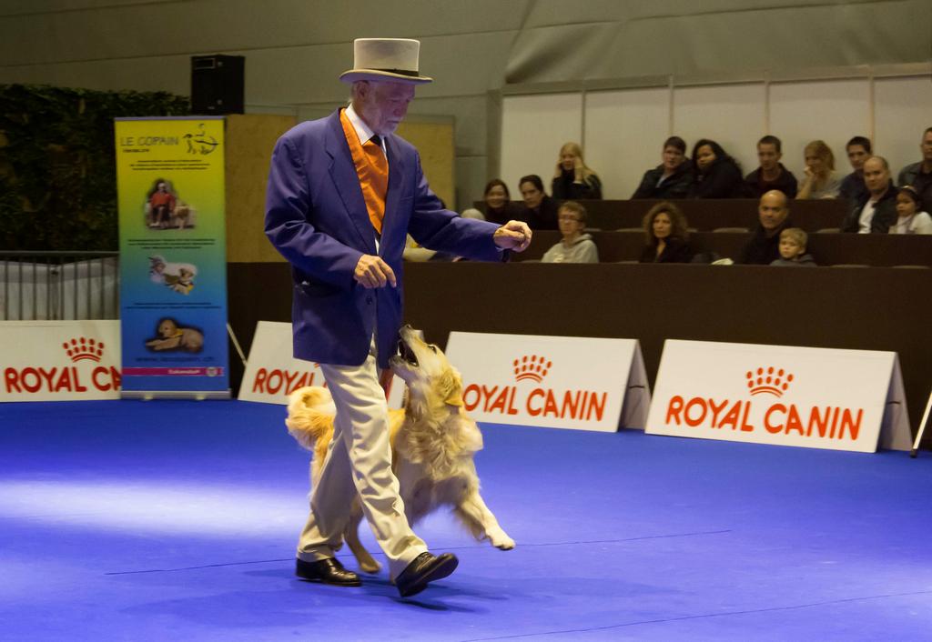 {Clic pour voir plus grand}