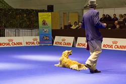 Click to see big picture (1024x683 pixels; 100 KB)