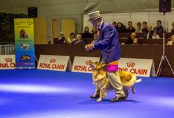 Click to see big picture (1024x695 pixels; 116 KB)