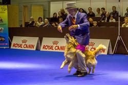 Click to see big picture (1024x685 pixels; 116 KB)